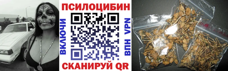 Псилоцибиновые грибы Cubensis  Новоуральск 