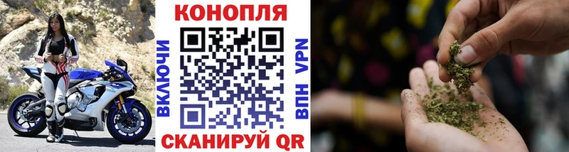 Конопля индика  как найти закладки  Новоуральск 